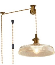 Plug pendant light for sale  North Hollywood