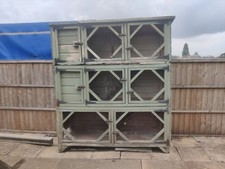 Rabbit chicken guinea for sale  BIRMINGHAM