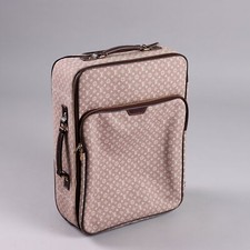 Trolley louis vuitton usato  Cambiago