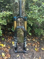Garfo de suspensão FOX 34 Performance - 29", 140 mm, 15QR x 110 mm, 44 mm offset comprar usado  Enviando para Brazil