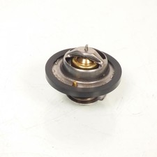 Thermostat thomson moto d'occasion  Bourg-Argental