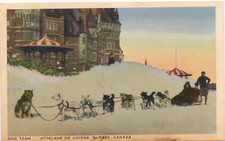 dog pulling sled for sale  Parsippany