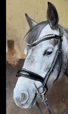 Centre line badminton for sale  GUILDFORD