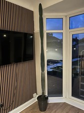 Foot cactus home for sale  LIVERPOOL
