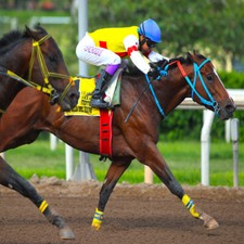 Methode turf meilleures d'occasion Methode turf meilleures d'occasion  France