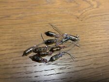 3 nixie röhren gebraucht kaufen  Stammham