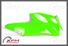 Kawasaki 10rr ninja gebraucht kaufen  Kaisersesch