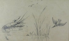 Disegno antico inizio usato  Torino