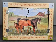 Horse ranch folding for sale  Omaha