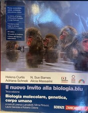 Nuovo invito biologia.blu usato  Roma