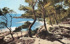 Bandol chemin capelan d'occasion  France