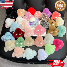Cute real rex for sale  Boca Raton