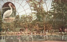 Zoo Flying Cage New York Zoological Park Pe comprar usado  Enviando para Brazil