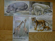 Pre 1914 postcards for sale  TROWBRIDGE