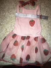 Strawber pink small for sale  Rogersville