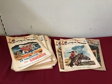 Vispa teresa annata usato  Vanzaghello