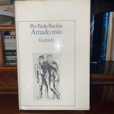 Pier paolo pasolini usato  Valenzano