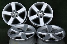 Riginal tiguan sharan gebraucht kaufen  Lützen
