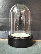 glass bell cloche for sale  RYDE