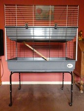 Indoor small animal for sale  KIDDERMINSTER