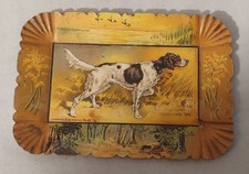 Pointer dog tip for sale  Eugene
