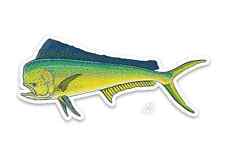 Mahi mahi fish for sale  Hummelstown