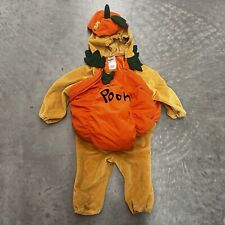 Infant winnie pooh for sale  Sacramento