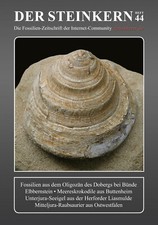 Steinkern stwestfalen seeigel gebraucht kaufen  Bielefeld