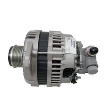 Lichtmaschine diesel pel gebraucht kaufen  Neuss