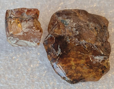 Natural amber fossils for sale  NEWPORT