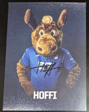 Hoffi maskottchen tsg gebraucht kaufen  Wolfhagen