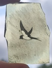 Stained glass swallow for sale  BATTLE