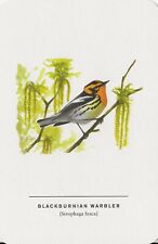 Cartão postal David Sibley "Blackburnian Warbler" 2018 (Setophaga fusca) Estado perfeito não usado comprar usado  Enviando para Brazil