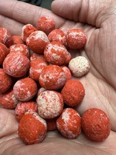 Bouillette carpe fruit d'occasion  Sarre-Union