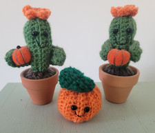 Handmade crochet cactus for sale  HUNTINGDON