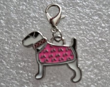 Cute terrier dog for sale  BIRMINGHAM