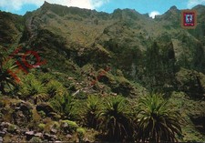 Cartão postal foto -:Tenerife, Caseiro De Masca, usado comprar usado  Enviando para Brazil