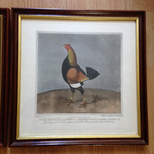 Vintage james pollard for sale  BOOTLE
