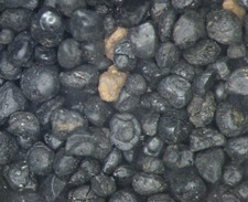 Cretaceous boundary micro for sale  WAKEFIELD