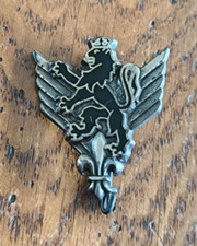 Insigne militaire rhc d'occasion  Saint-Pierre-d'Oléron