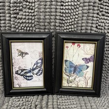 Butterfly framed wall for sale  Dawson