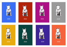 Usado, Diário Bull Terrier 2026: A5 A6 A4 Dog Show, Normal ou Nomeação comprar usado  Enviando para Brazil