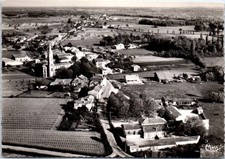 Braud saint louis d'occasion  France