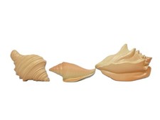 Set vintage seashell for sale  Fort Wayne