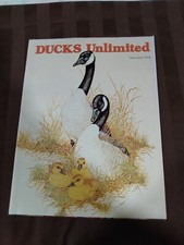 Vintage ducks unlimited for sale  New Lisbon
