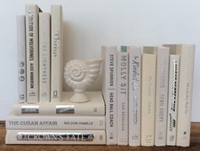 Bookcase staging lot for sale  Denton