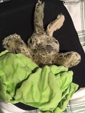 Hand puppet company for sale  CARMARTHEN