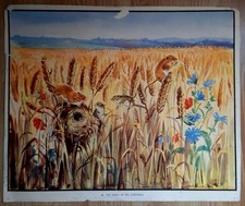 Eileen soper set for sale  HELSTON