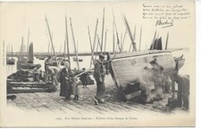Finistère our breton d'occasion  Expédié en Belgium