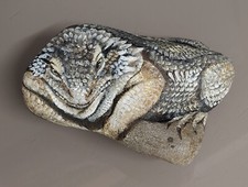 bartagame gebraucht kaufen bartagame gebraucht kaufen Wuppertal
